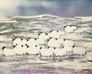 Schafe im Winter
